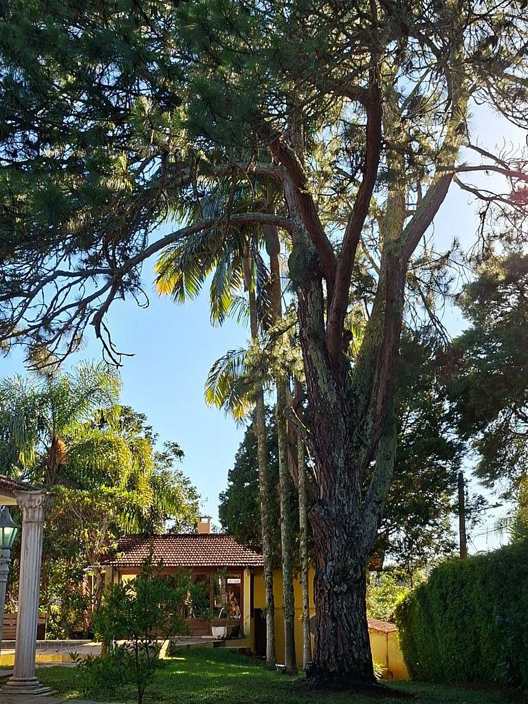 Casa Manacá - Casas Serranas