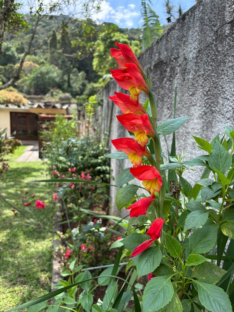 Casa Maria | Espaço perfeito para famílias ou grupos de amig